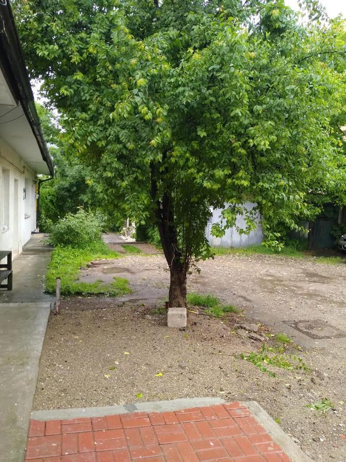 Garsoniera In Centru Διαμέρισμα Κλουζ-Ναπόκα Εξωτερικό φωτογραφία